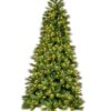 12′ Brighton Pine Christmas Tree, Warm White Dura-lit LED Light